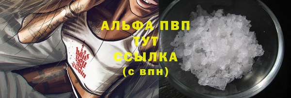 амф Беломорск