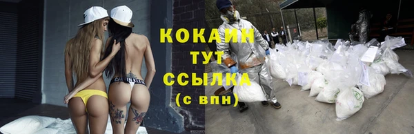 крисы Белокуриха