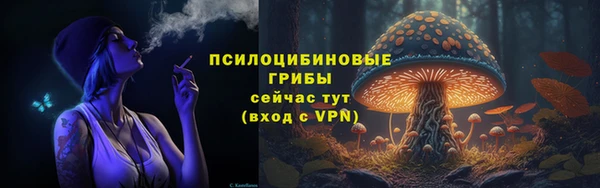 амф Беломорск