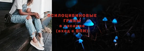 соль ск Балабаново