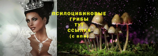 амф Беломорск