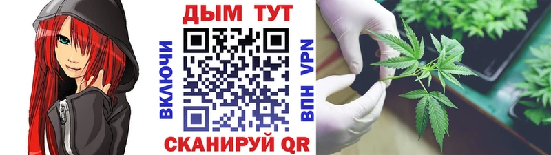 Канабис Amnesia  наркошоп  Красный Сулин 